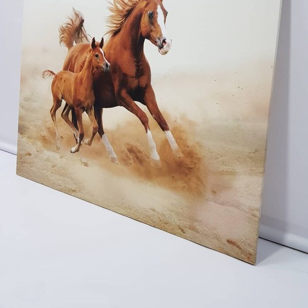 Canvases paintings Qatar Press